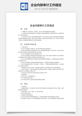 企业内部审计工作规定word文档