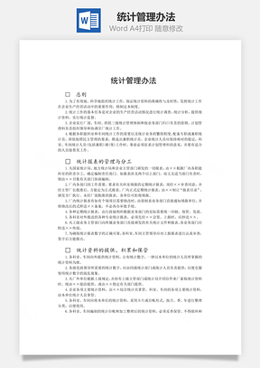 统计管理办法word文档