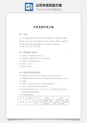 公司年度奖励方案word文档