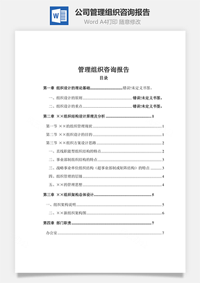 公司管理组织咨询报告Word文档