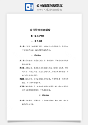 公司管理规章制度Word文档