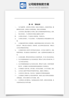 公司规章制度方案Word文档