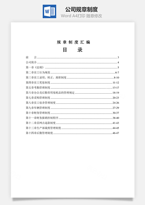 公司规章制度Word文档