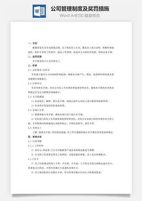 公司管理制度及奖罚措施Word文档