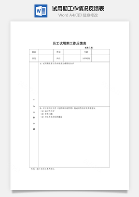 试用期工作情况反馈表Word文档