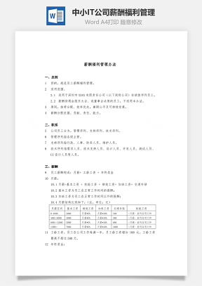 中小IT科技公司薪酬福利管理Word文档