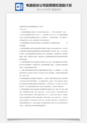 电器股份公司股票期权激励计划Word文档