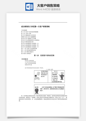 大客户销售策略Word文档