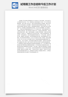 试用期工作总结和今后工作计划Word文档