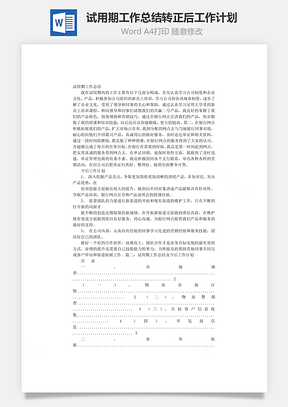 试用期工作总结转正后工作计划Word文档