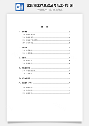试用期工作总结及今后工作计划Word模板