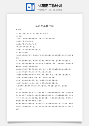 试用期工作计划Word文档