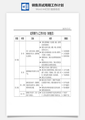 销售员试用期工作计划Word模板