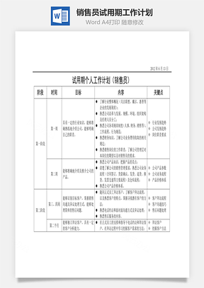 销售员试用期工作计划Word文档