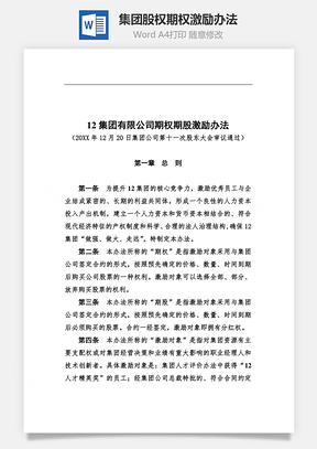 集团股权期权激励办法Word文档