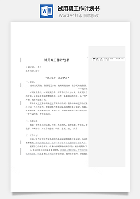 试用期工作计划书Word模板