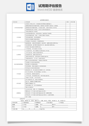 试用期评估报告Word文档