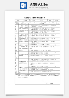 试用期护士评价Word文档