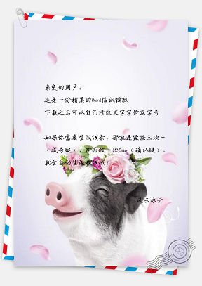 信纸温馨猪年花瓣小猪