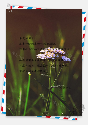 信纸春天的花朵Word模板