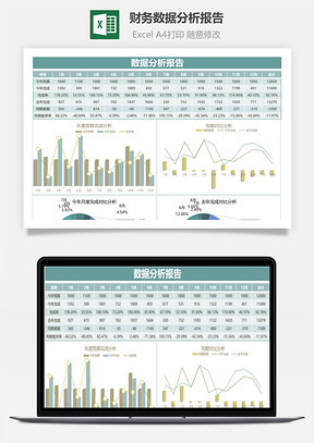 财务数据分析报告