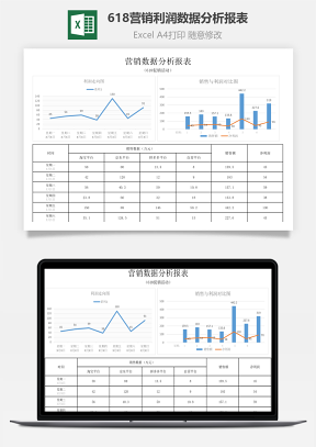 618营销利润数据分析报表