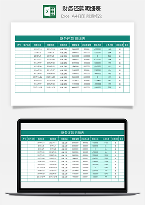财务还款明细表