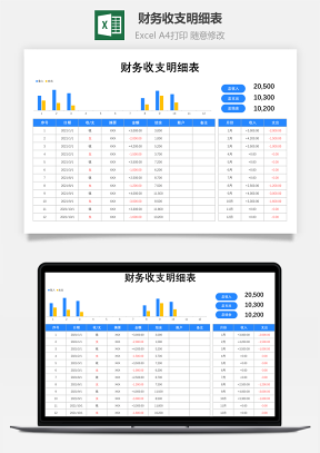 财务收支明细表