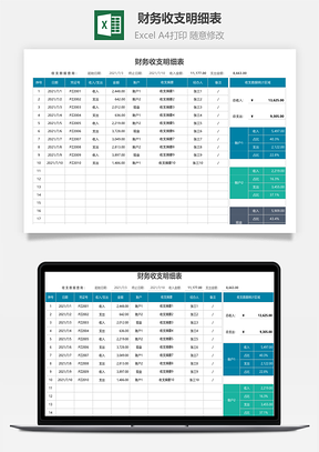 财务收支明细表