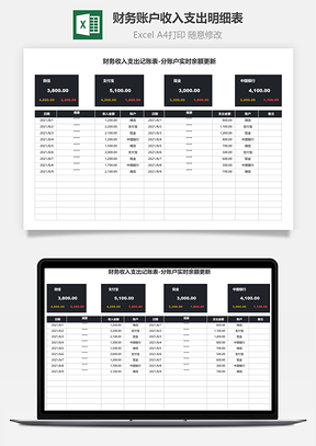 财务账户收入支出明细表