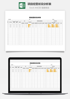 项目经营状况分析表