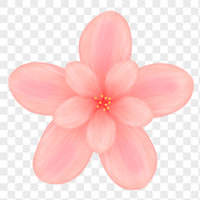春天春游踏青粉色花朵元素