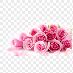 粉色玫瑰花束装饰图案