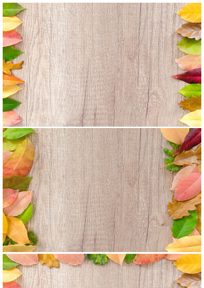彩色树叶边框木纹背景高清图片（3张）