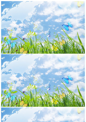 草绿 花开 蝶舞 春天到来背景图片