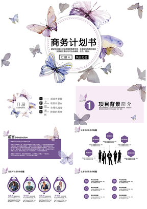 灰色2025创意水彩风蝴蝶商业计划书通用PPT模板
