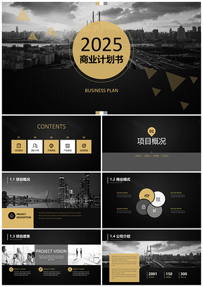2025黑色黑金商业计划书创业计划投资路演商务通用PPT模板