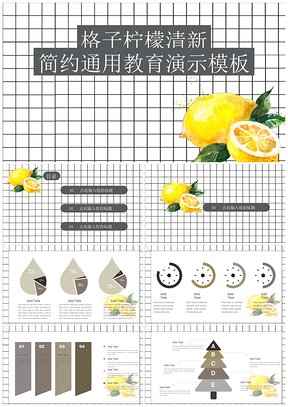 灰色格子风柠檬清新简约通用教育演示PPT模板
