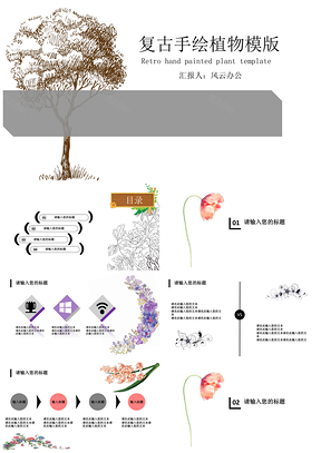 灰色复古手绘植物PPT模板