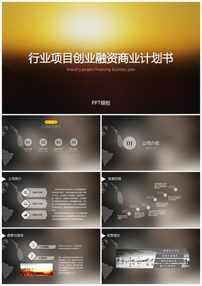 黄色行业项目创业融资商业计划书PPT模板