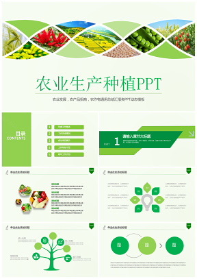 农业环保绿色食品农作物丰收新农村建设农产品推广