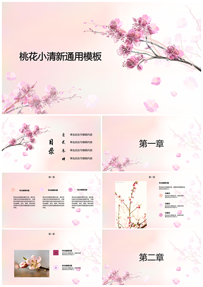 粉色桃花小清新产品推介商业计划书通用PPT模板