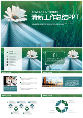 绿色小清新创意商务工作汇报总结PPT模板