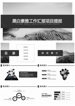 黑白素雅工作汇报项目策划项目提报PPT模板