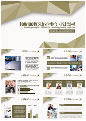 棕色金融商务公司BP案例PPT模板