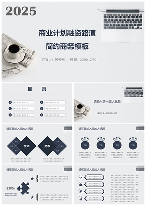 2025灰色简约商业融资计划路演PPT模板