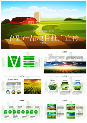 高端互联网农业农副产品项目品牌推广宣传PPT模板