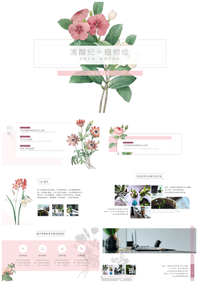 白色文艺女生类商务项目推广PPT模板