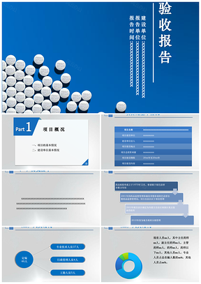蓝色灰色药品电子监管验收报告PPT
