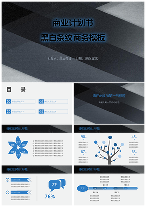 2025商业计划书黑白条纹商务PPT模板